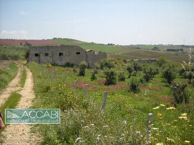 Rustico/Casale in vendita a Erice - foto 6