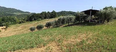 Rustico/Casale in vendita a Basciano - foto 7