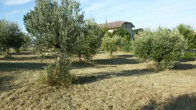 Rustico/Casale in vendita a Campli - foto 3