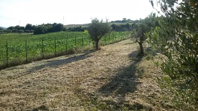 Rustico/Casale in vendita a Campli - foto 5