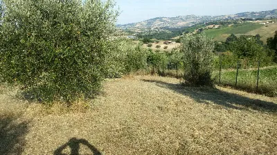 Rustico/Casale in vendita a Campli - foto 6