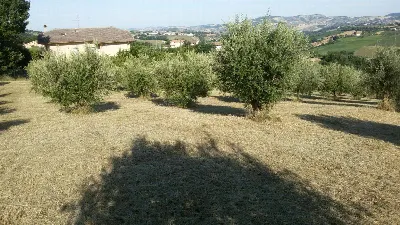 Rustico/Casale in vendita a Campli - foto 7