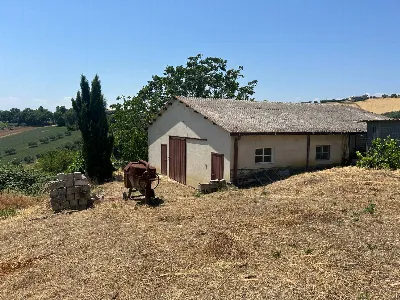 Rustico/Casale in vendita a Mosciano Sant'... - foto 6