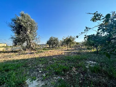 Villa in vendita a Siracusa, Tivoli, Cavad... - foto 10