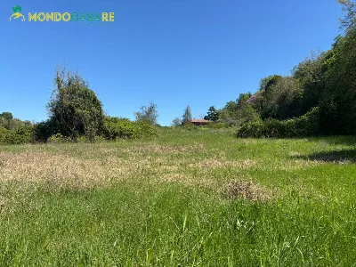 Villa in vendita a Fara in Sabina - foto 5