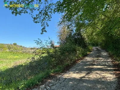 Villa in vendita a Fara in Sabina - foto 6