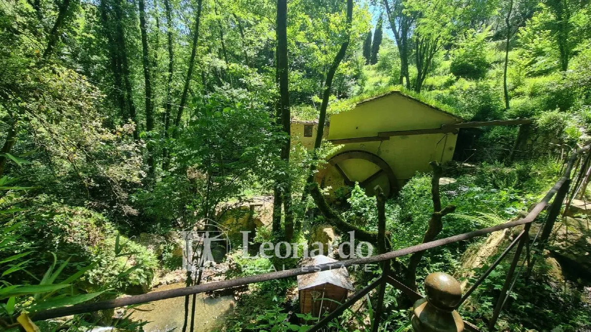 Villa in vendita a Camaiore - foto 3