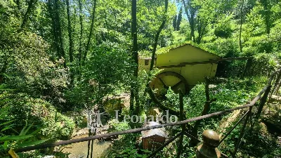 Villa in vendita a Camaiore - foto 3