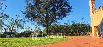 Villa in vendita a Massarosa - foto 6