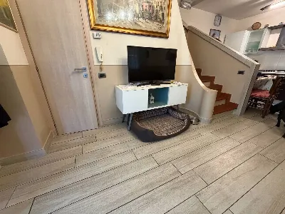Villa in vendita a Viareggio - foto 7