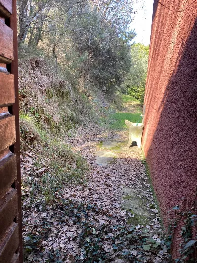 Rustico/Casale in vendita a Camaiore - foto 8