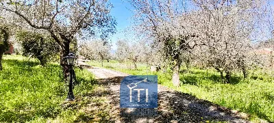 Villa in vendita a Cervaro - foto 3