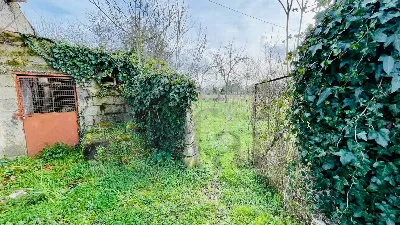 Rustico/Casale in vendita a Roccasecca - foto 10