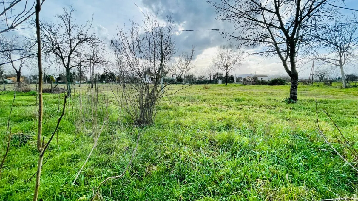 Rustico/Casale in vendita a Roccasecca - foto 3