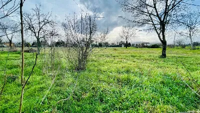 Rustico/Casale in vendita a Roccasecca - foto 3