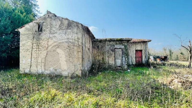Rustico/Casale in vendita a Arce - foto 6