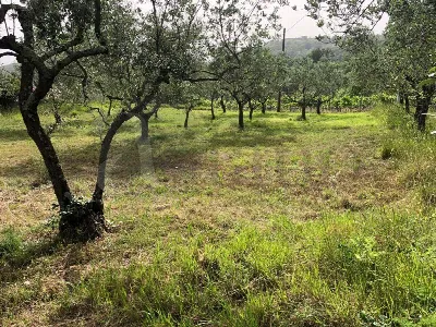 Rustico/Casale in vendita a Santopadre - foto 3