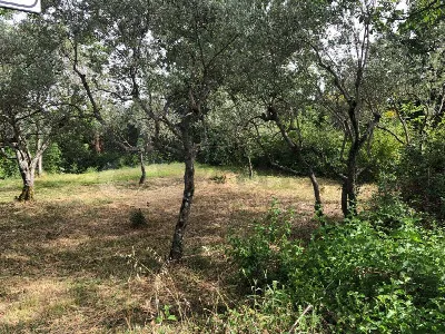 Rustico/Casale in vendita a Santopadre - foto 7