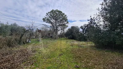 Rustico/Casale a Aquino