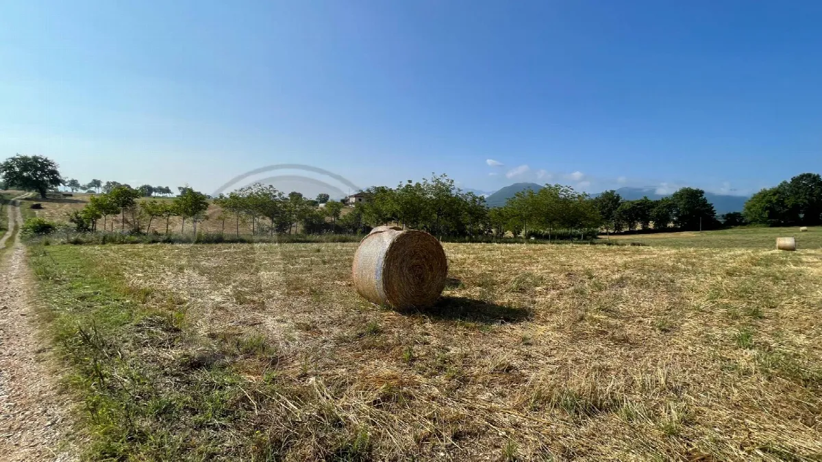 Rustico/Casale in vendita a Pontecorvo - foto 4