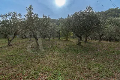 Villa in vendita a Falvaterra - foto 10