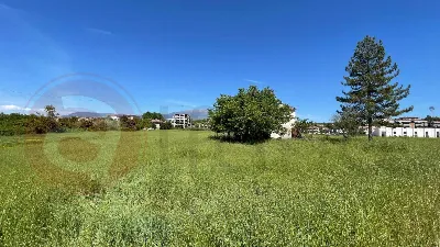 Rustico/Casale in vendita a Pontecorvo - foto 7
