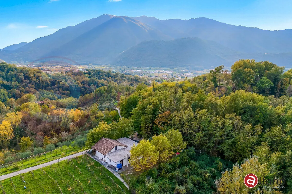 Rustico/Casale in vendita a Gallinaro - foto 3