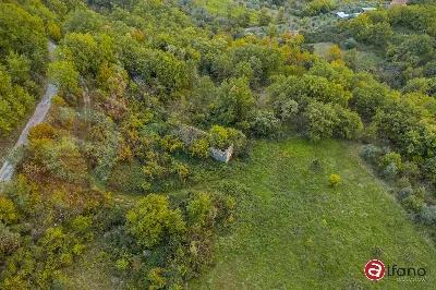 Rustico/Casale in vendita a Campoli Appenn... - foto 6