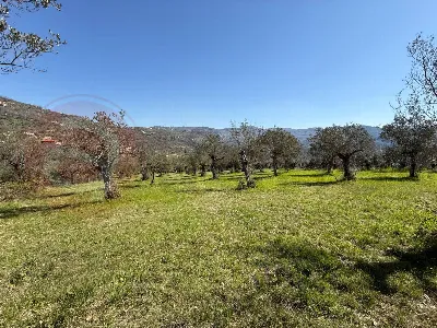 Rustico/Casale in vendita ad Arpino - foto 3