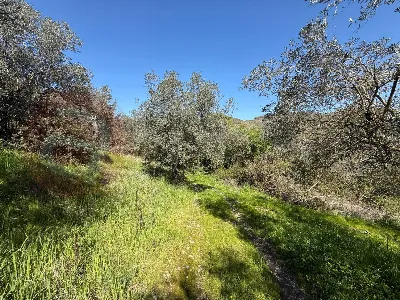 Rustico/Casale in vendita ad Arpino - foto 7