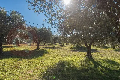Rustico/Casale in vendita a Veroli - foto 2