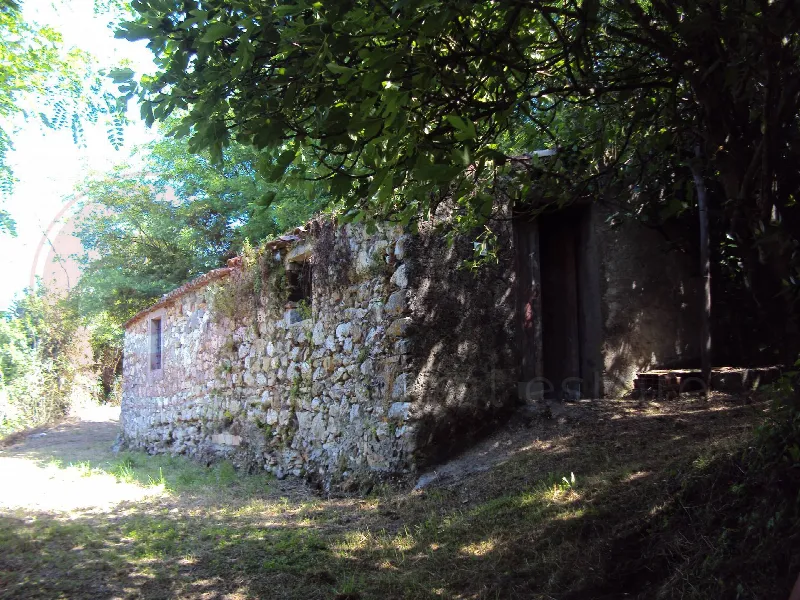 Rustico/Casale in vendita a Sant'Ambrogio sul Garigliano - foto 1