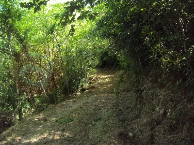 Rustico/Casale in vendita a Sant'Ambrogio ... - foto 6