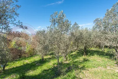 Villa in vendita a Fontana Liri - foto 9