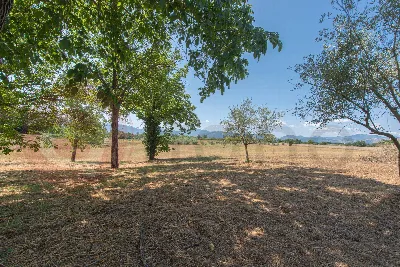 Villa in vendita a Roccasecca - foto 6