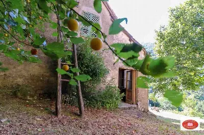 Rustico/Casale in vendita a Pontinvrea - foto 1