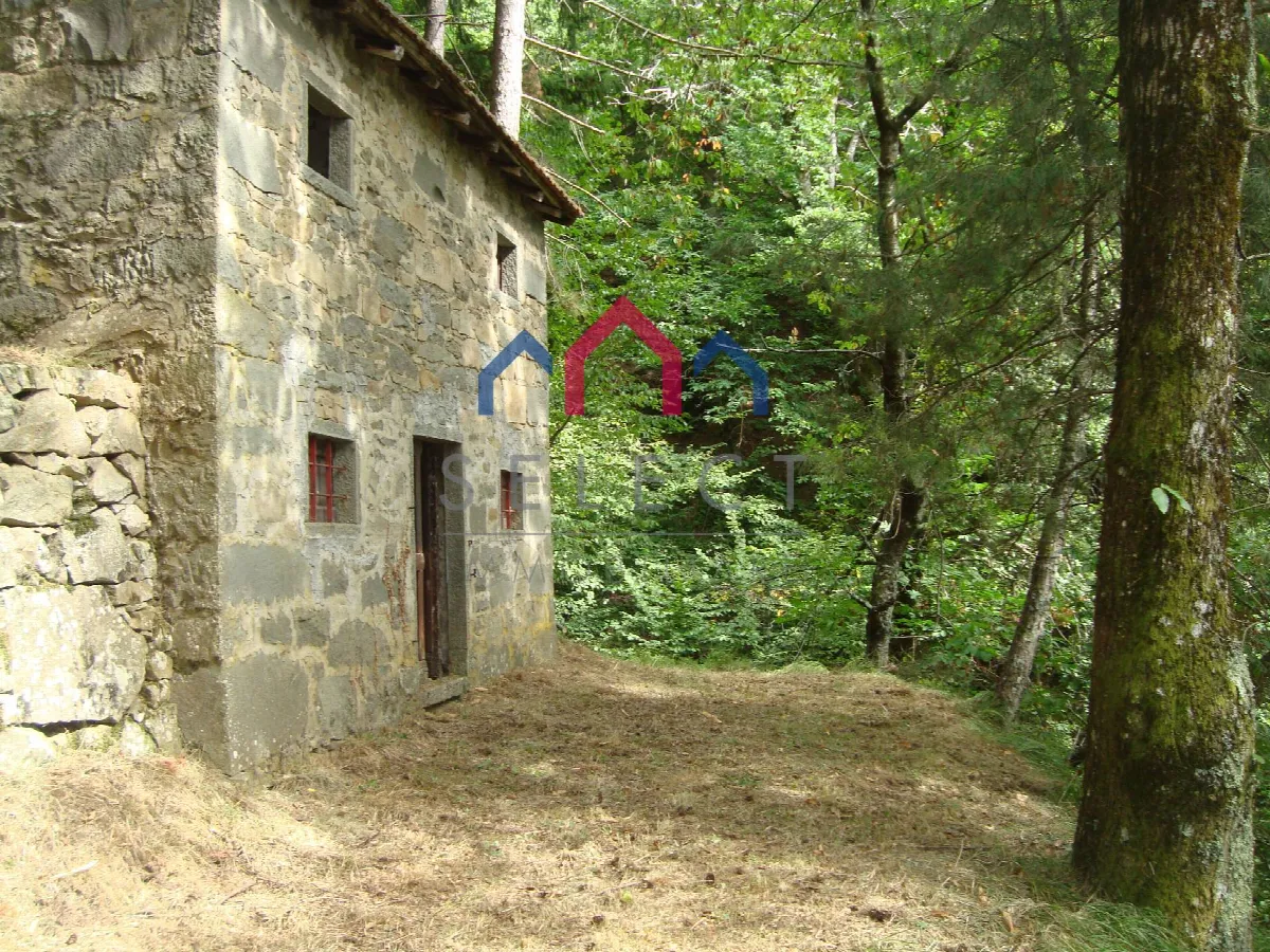 Rustico/Casale in vendita a Coreglia Antelminelli - foto 2