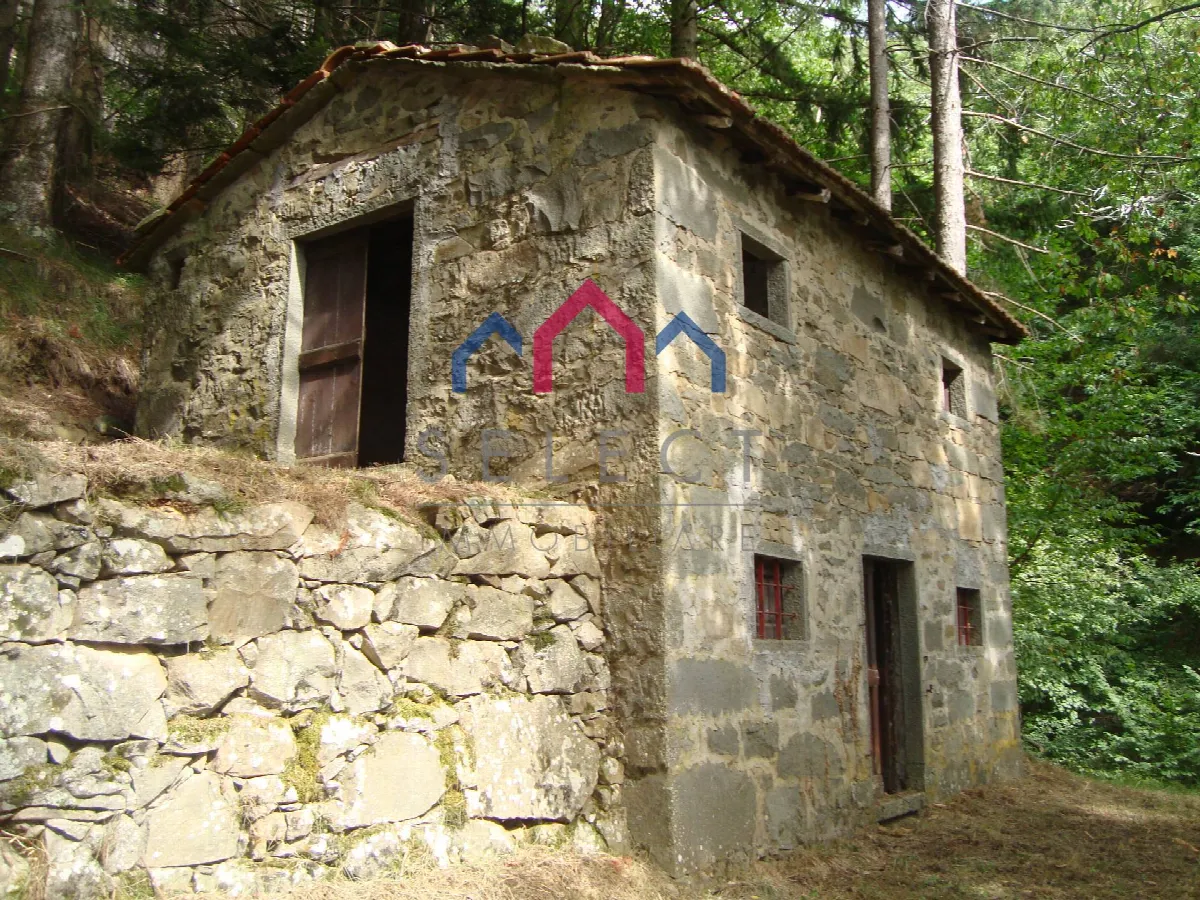 Rustico/Casale in vendita a Coreglia Antelminelli - foto 3