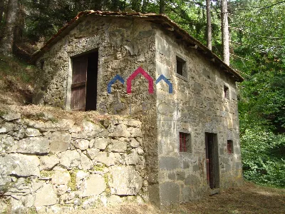 Rustico/Casale in vendita a Coreglia Antel... - foto 3