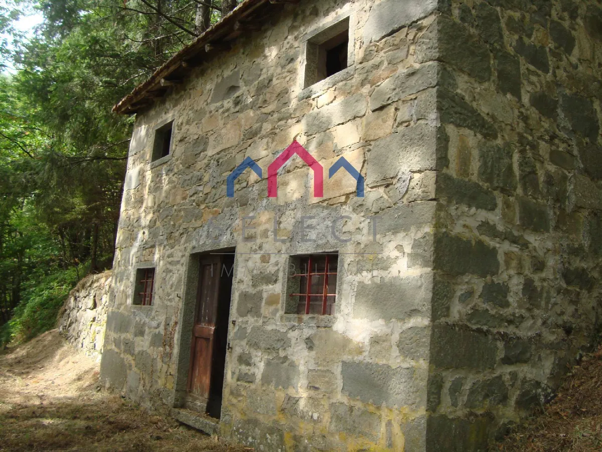 Rustico/Casale in vendita a Coreglia Antelminelli - foto 5