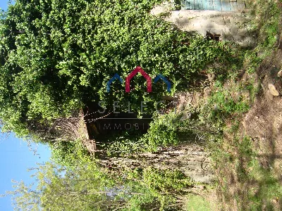 Rustico/Casale in vendita a Borgo a Mozzan... - foto 10