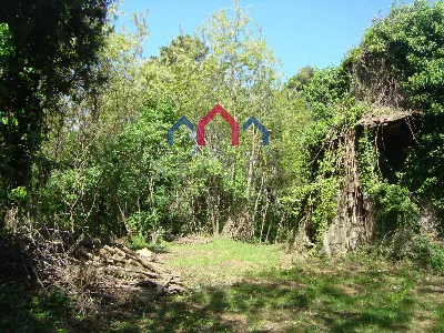 Rustico/Casale in vendita a Borgo a Mozzan... - foto 7