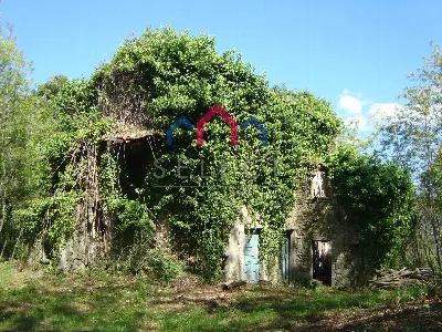 Rustico/Casale in vendita a Borgo a Mozzan... - foto 8