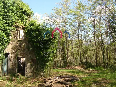 Rustico/Casale in vendita a Borgo a Mozzan... - foto 9