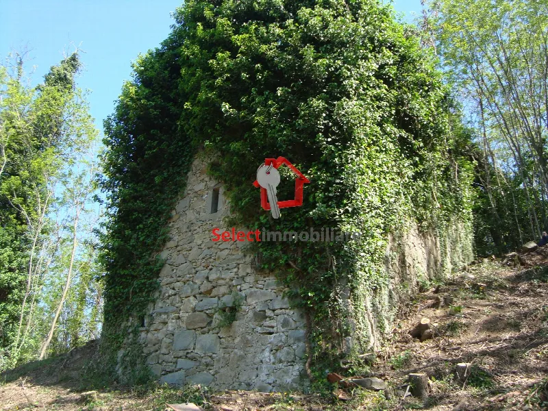 Rustico/Casale in vendita a Borgo a Mozzano - foto 1