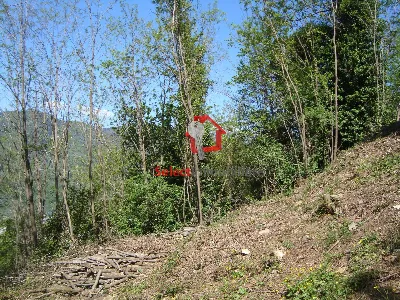 Rustico/Casale in vendita a Borgo a Mozzan... - foto 10