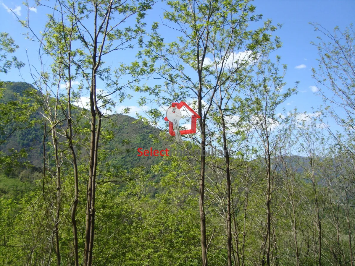 Rustico/Casale in vendita a Borgo a Mozzano - foto 2