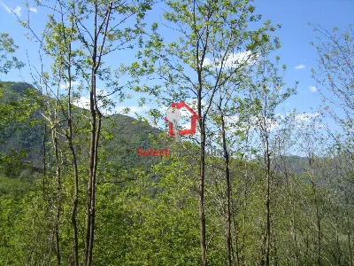 Rustico/Casale in vendita a Borgo a Mozzan... - foto 2