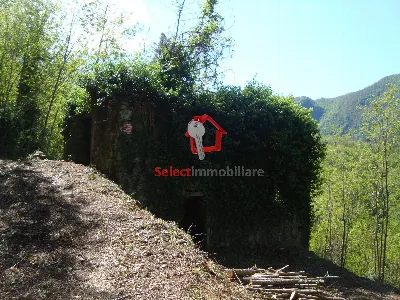 Rustico/Casale in vendita a Borgo a Mozzan... - foto 3