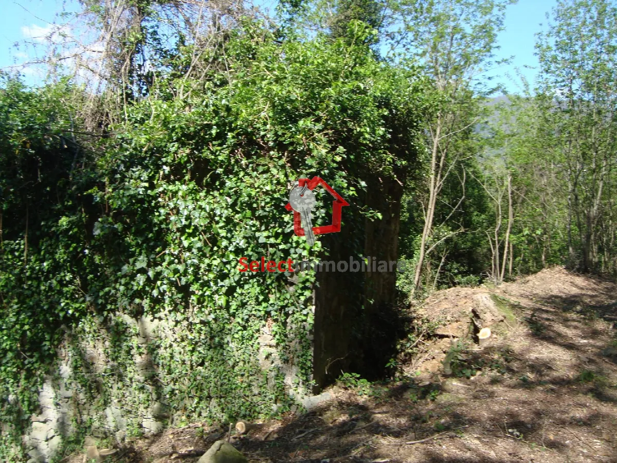 Rustico/Casale in vendita a Borgo a Mozzano - foto 4